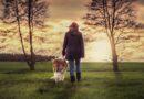 À quelle fréquence sortir son chien ?