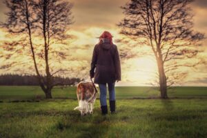 À quelle fréquence sortir son chien ?