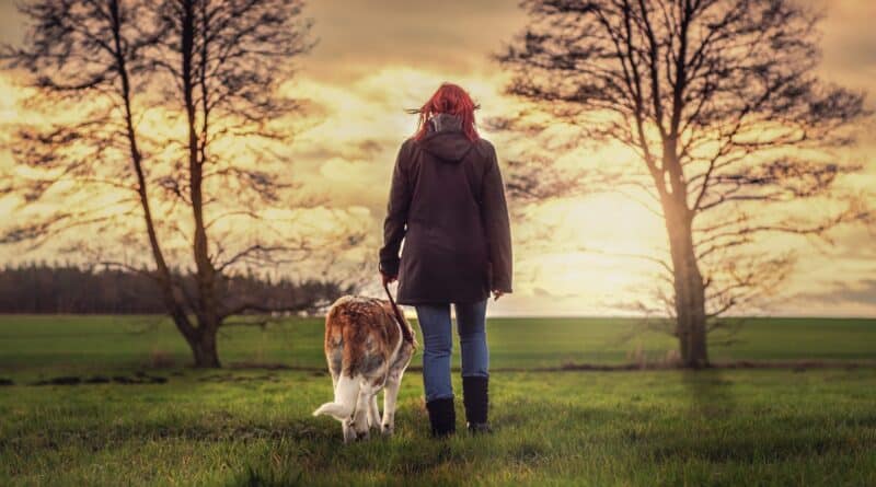 À quelle fréquence sortir son chien ?