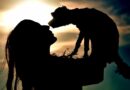 santé et assurance pour chien