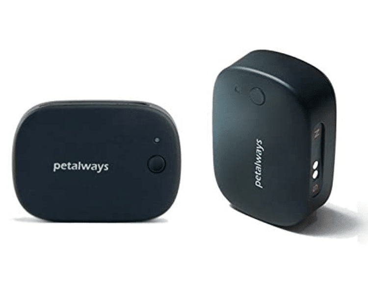 Collier GPS Wifi Petalways