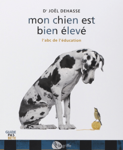 Les Meilleurs Cadeaux Pour Les Amoureux Des Chiens En 2021