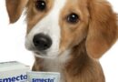 smecta pour chien
