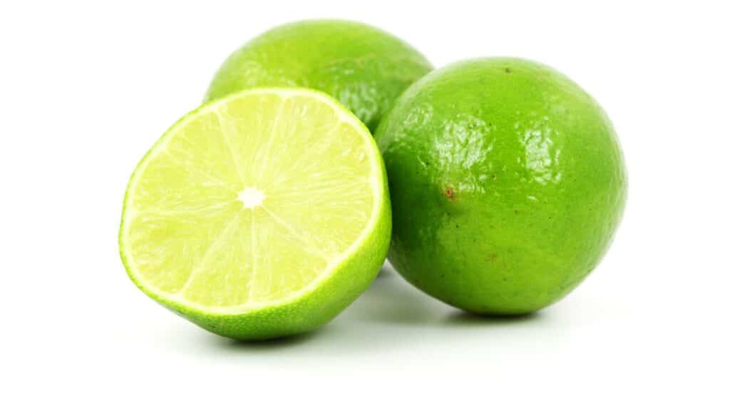citron répulsif naturel pour chiens