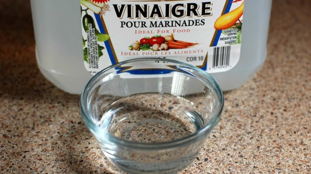 vinaigre blanc répulsif naturel pour chiens