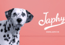 Japhy