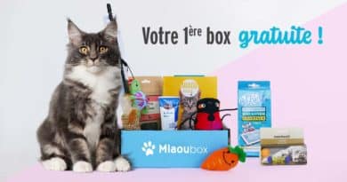 Miaoubox