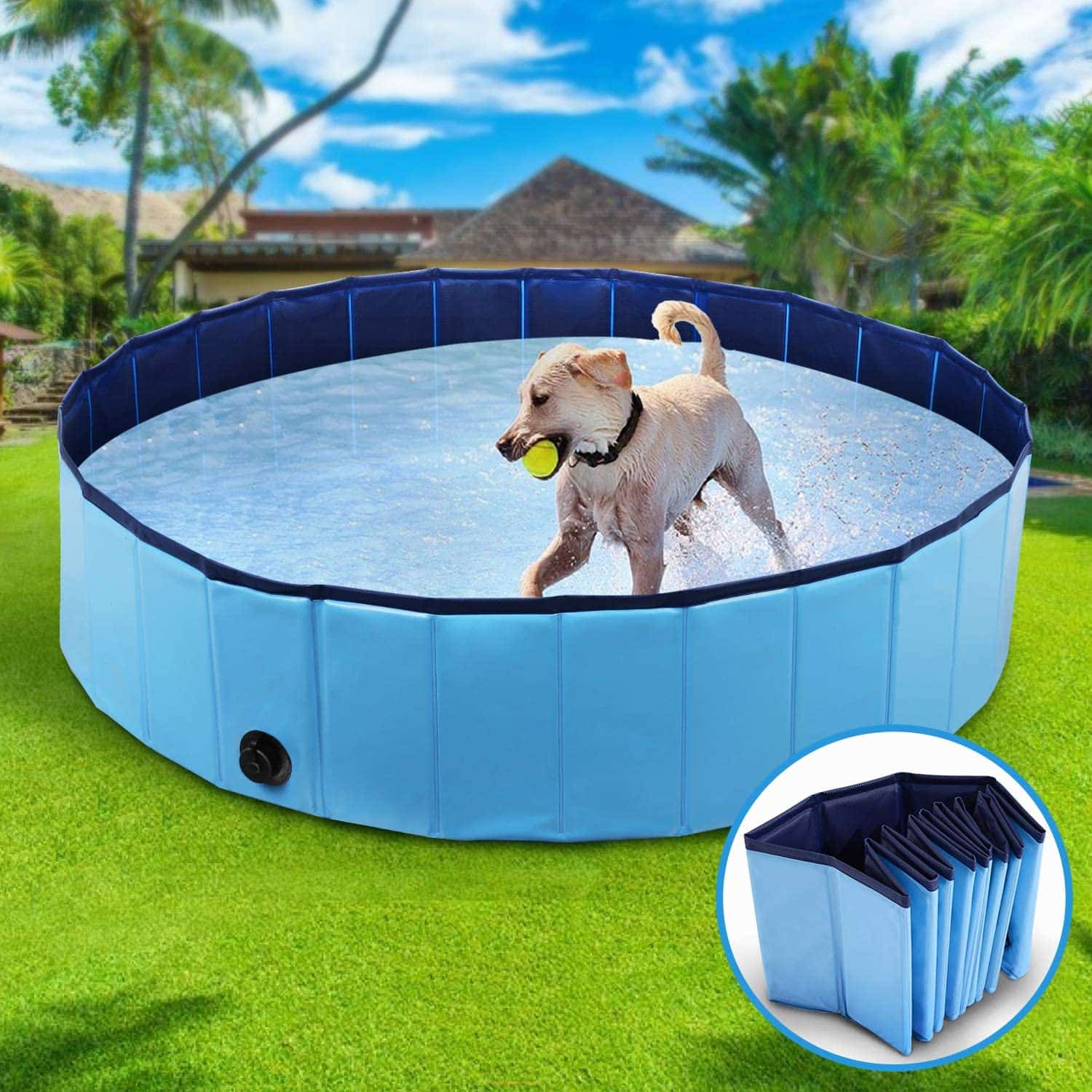 Meilleures piscines pour chien de 2023 Guide d’achat et comparatif