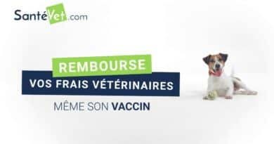 SantéVet Avis – Assurance pour chats, chiens et NAC