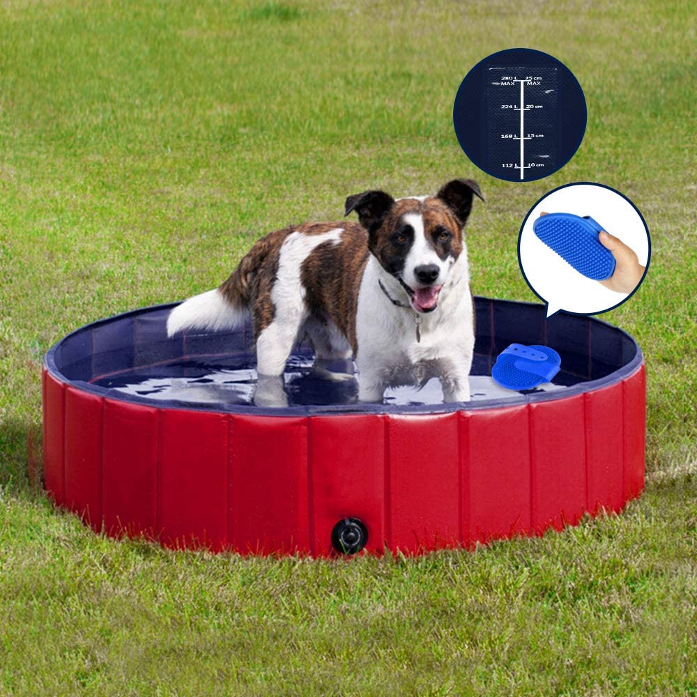 piscine pour chien Speed Doggy Pool