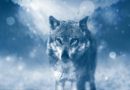 Objets loup : laissez-vous séduire par les motifs loup tendance