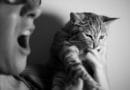 Pourquoi mon chat me mord quand je le caresse ?