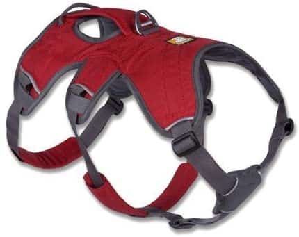 harnais XXS de Ruffwear