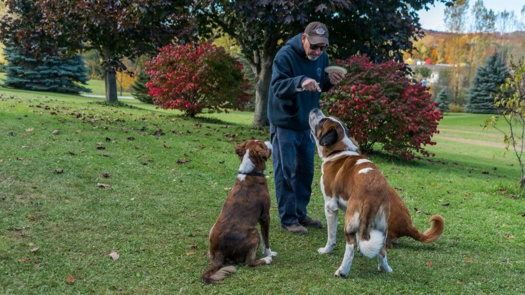 choisir un éducateur canin