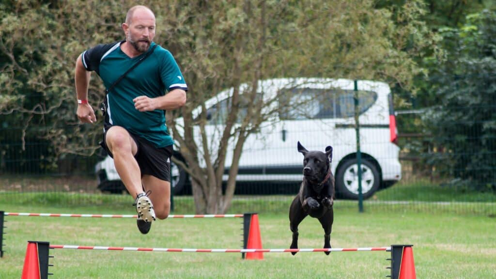 comment dresser un chien