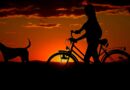 3 activités de plein air que vous pouvez pratiquer avec votre chien