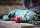 chien mort
