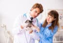 Quand et pourquoi faut-il stériliser son chat ?