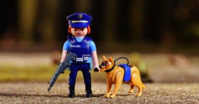 chien policier