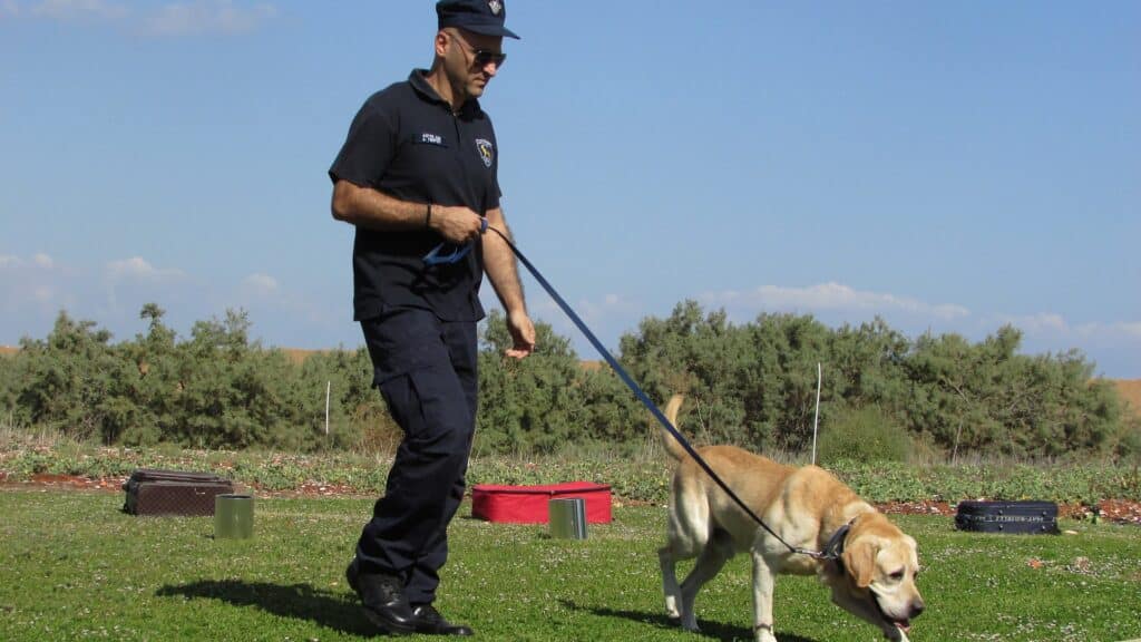 race de chien policier