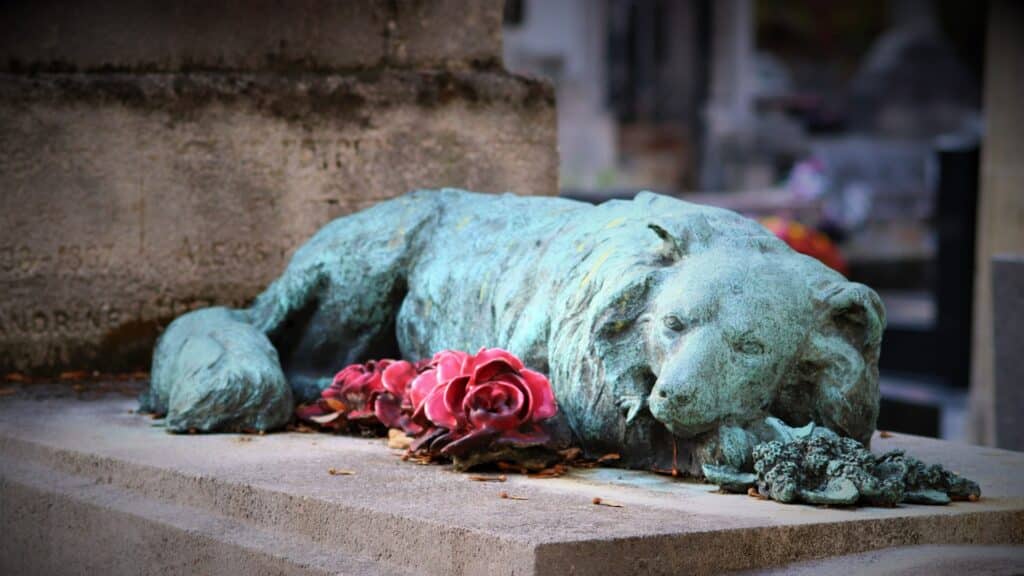 cimetière pour chien