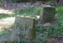 fonctionnement cimetière pour chien