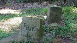 fonctionnement cimetière pour chien