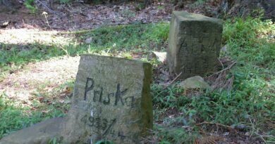 fonctionnement cimetière pour chien