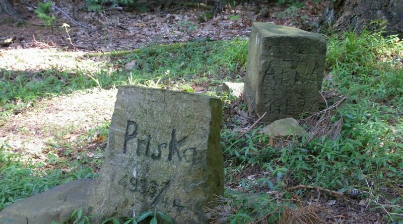 fonctionnement cimetière pour chien