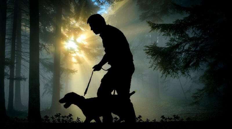 loi sur la Promenade du chien