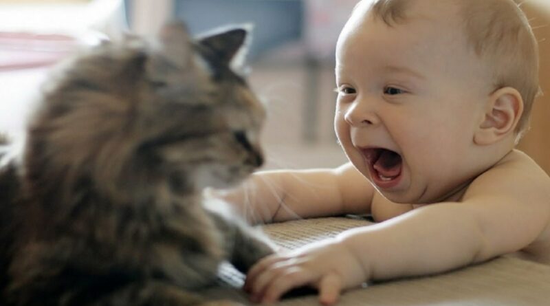 Chat et bébé