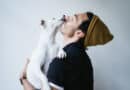 5 conseils pour que votre chien se sente bien