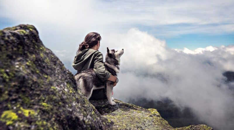 avoir un chien