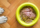 pâtée pour chien