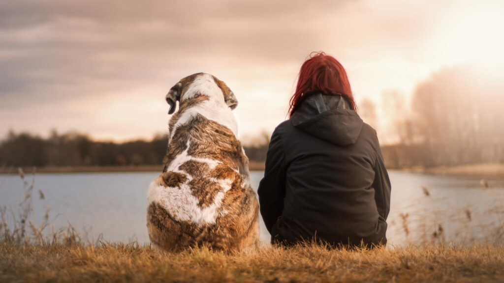 relation homme et chien