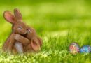 cadeau pour lapin