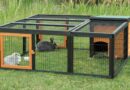enclos lapin