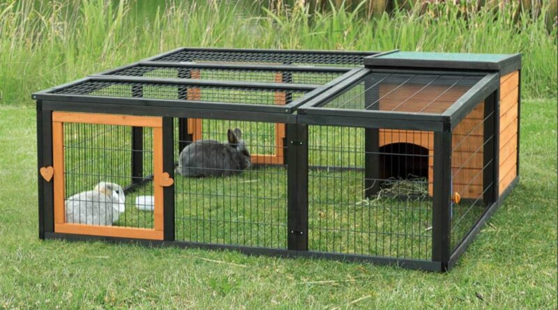 enclos lapin