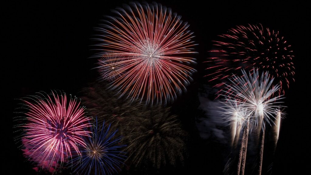 Chien qui a peur des feux d’artifice