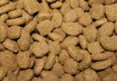 Croquettes sans céréales pour chien
