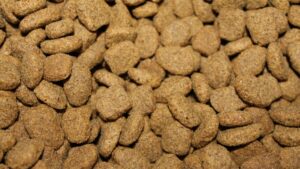 Croquettes sans céréales pour chien