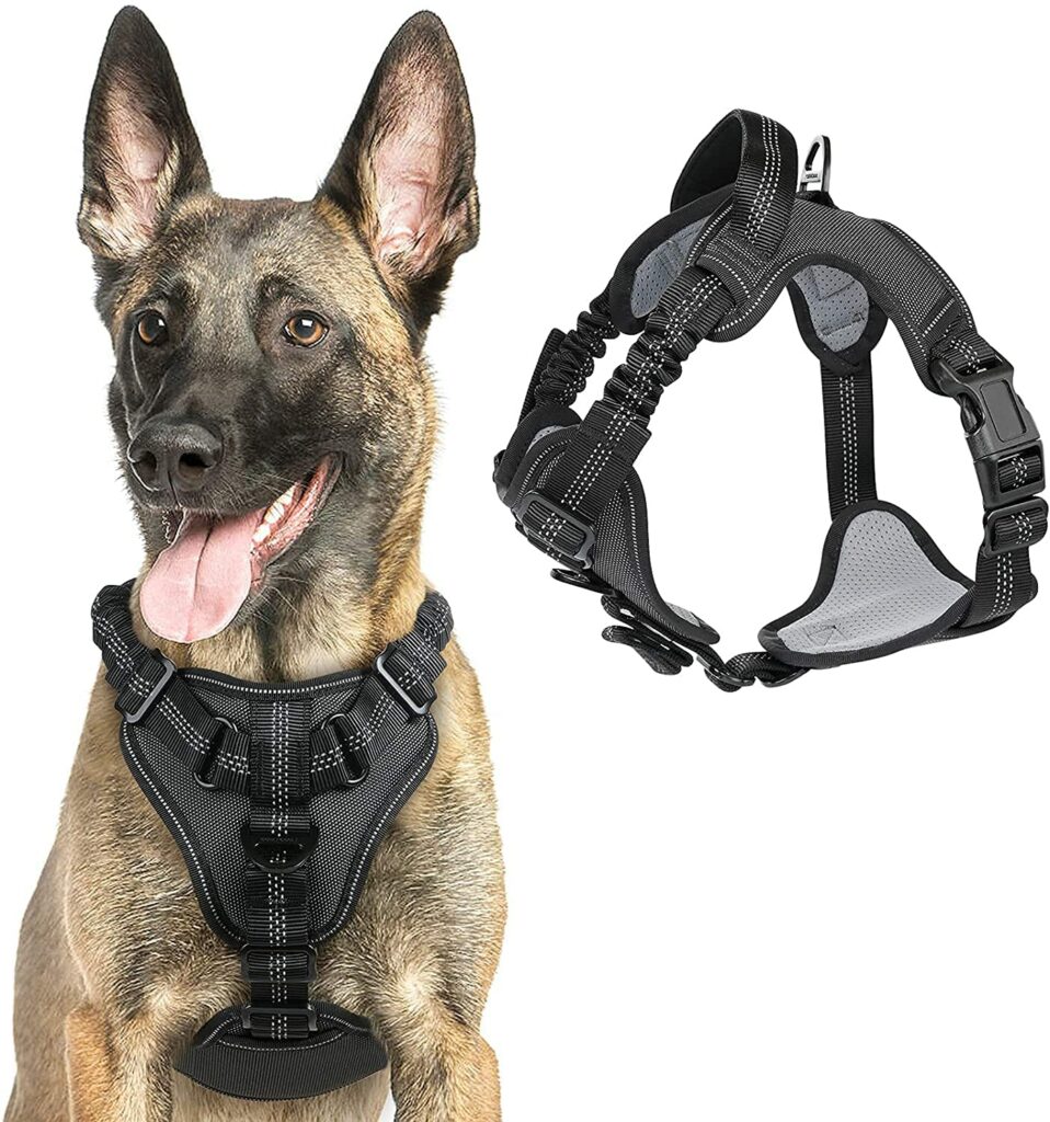 RABBITGOO Harnais anti-traction pour malinois