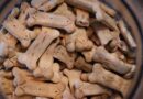biscuit pour chien