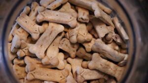 biscuit pour chien