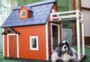 chenil pour chien