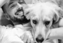 comment Rendre un chien plus câlin