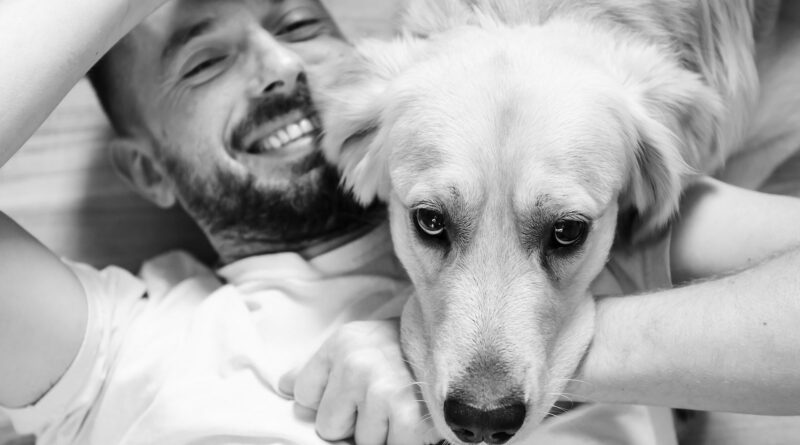 comment Rendre un chien plus câlin