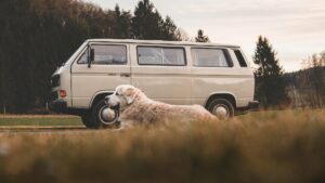 comment Voyager en camping-car avec un chien