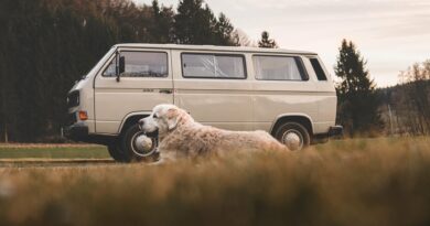 comment Voyager en camping-car avec un chien