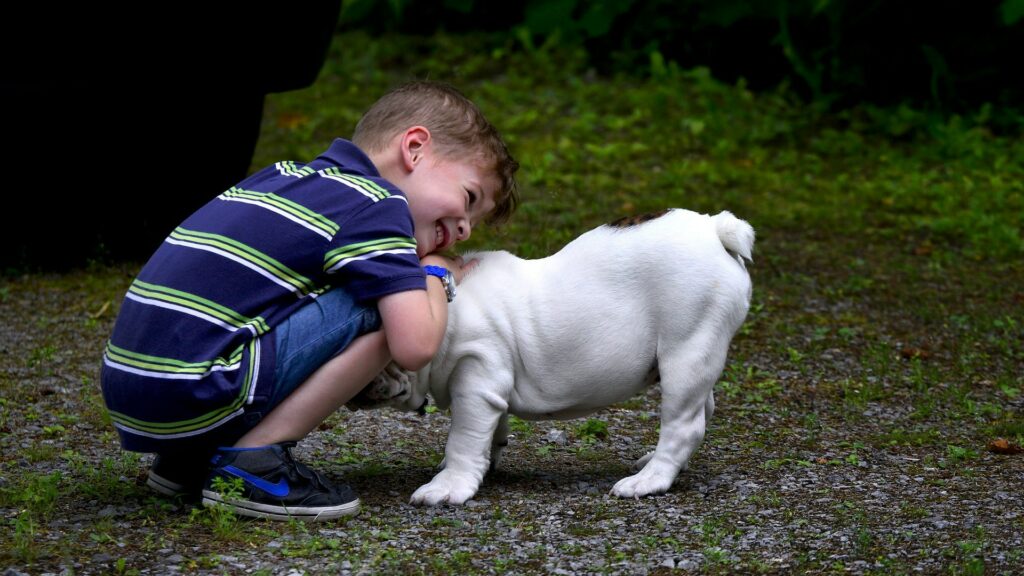 Caresser un chien